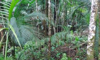 Imagem 7: Super oportunidade terreno 57 mil reais