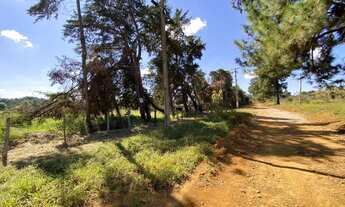 Imagem 3: Brazlândia - Chácara de 5.000 metros quadrados com sessão de direitos