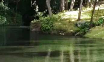 Imagem 4: Vendo Lote Cond. Belas Artes