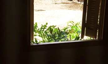 Imagem 4: Maravilhoso sítio em Brodowski