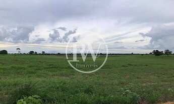 Imagem 2: Fazenda à Venda 2.400 Alqueires Próximo a Flores de Goiás