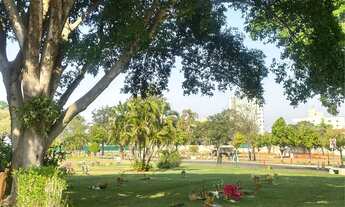 Imagem 2: Terrenos Jardim da Paz