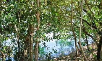 Imagem 3: VENDO LINDA CHACARA