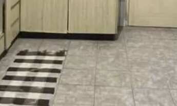 Imagem 3: Vende-se casa no Jurunas A