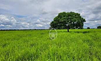 Imagem 5: Fazenda à venda, m² por R$ 92.000.000 - Zona Rural - Santo Antônio do Leverger/MT