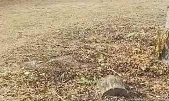 Imagem: Terreno bem localizado Santarém PA