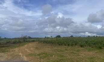 Imagem 4: Vendo chácara no Incra (Texas