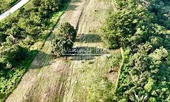 Imagem 4: Excelente propriedade para fazer um Wine Hotel com qyase 7 hectares na cidade de Pilar- AL