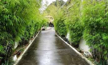 Imagem 5: Casa para aluguel possui 600 metros quadrados com 5 quartos em Santa Amélia - Belo Horizon