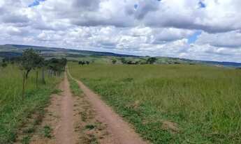 Imagem 3: A&M IMOVEIS VENDE EXELENTE FAZENDA COM 101,64 HECTARES