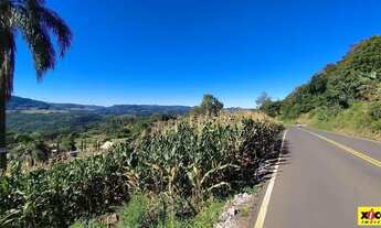 Imagem 7: Sítio / Chácara para Venda em Nova Petrópolis, Nove Colonias