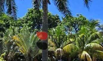 Imagem 7: Chácara Alto Padrão no Condomínio Village Bandeirantes I, à venda, em Jardinópolis - Imobi