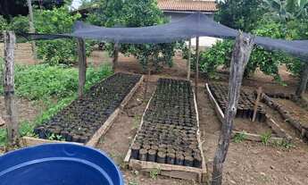 Imagem 4: Vendo excelente sítio as margens do São Francisco