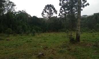 Imagem 3: CHACARA PARA A FAMILIA