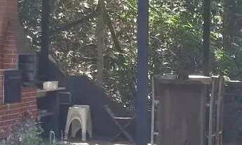 Imagem 6: Imóvel para venda possui 2950 metros quadrados com 4 quartos