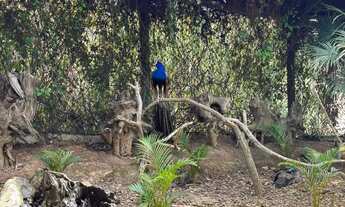 Imagem: Lindíssimo apartamento