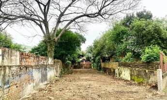 Imagem 2: Terreno proximo BR / Estadio do Aimore - São Leopoldo