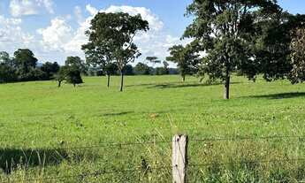 Imagem 7: Fazenda a venda em Trindade - Goiás!!!