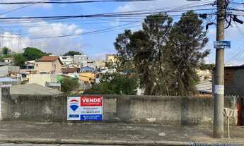 Imagem 4: TERRENO - JARDIM STELLA - SP