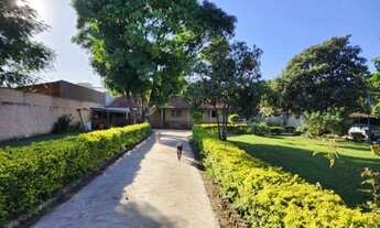 Imagem 4: Chácara Flora - 4.000 m²