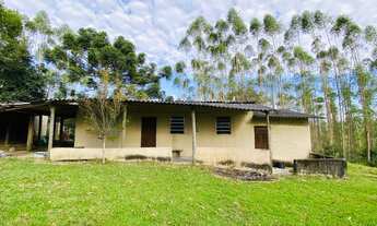 Imagem 4: Sítio em piedade 8 alqueires