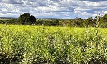 Imagem: Fazenda em Novo Acordo/Rio Sono