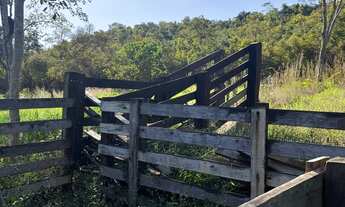 Imagem 5: BALNEARIO - CHÁCARA EM APARECIDA DO RIO NEGRO - CÓRREGO BARREIRO* VENDO 4,51 hectares