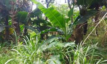 Imagem 5: Terreno à venda em Vinhedo, Altos do Morumbi, com 3700 m²