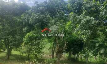 Imagem 7: Chácara em Ribeira - Centro - Ribeira/SP