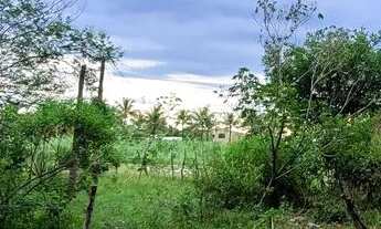 Imagem 5: Vendo terreno 10x20