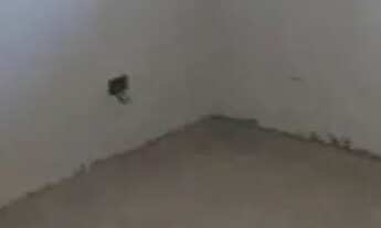 Imagem 4: APARTAMENTO - CIDADE PATRIARCA - SP