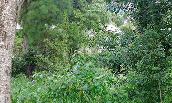 Imagem 6: Terreno no Centro de Nova Santa Rita com matricula e 360m²