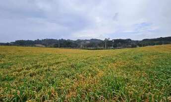 Imagem 4: Chacara com 30.000m² em Campo Magro Ideal para Plantio ou Lazer