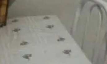 Imagem: Casa Colatina. São 3 andares