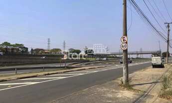 Imagem 4: Galpão - Jardim do Lago - Campinas