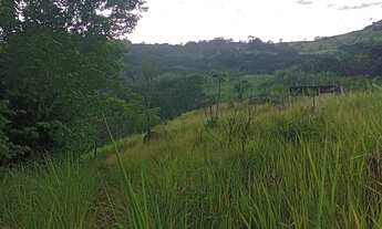 Imagem 7: Vendo sítio de 10.000m2 no rio da prata de Campo Grande