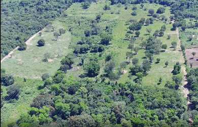 Imagem 5: Sítio com 24 hectares localizado na cidade de Acorizal-MT