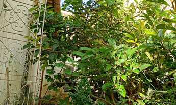 Imagem 2: VENDO Casa no Centro