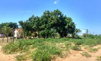 Imagem 2: Sítio Chácara com venda por R$90.000