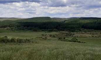 Imagem 4: 138 alqueires em SC