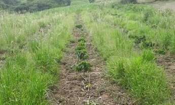 Imagem 3: Sitio Bom Jesus Chácara com venda por R$200.000