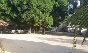 Imagem 7: Chacara no Pau Deitado Atras do Frango Americano