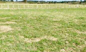 Imagem: BARBADA!!! Terrenão plano, luz na frente