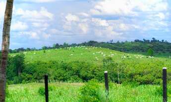 Imagem: 100 alqueires por R$6 milhões no Pará