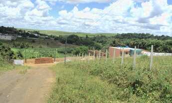 Imagem 7: Terreno com 1 Hectare ao lado da Exposição de Animais de Carpina