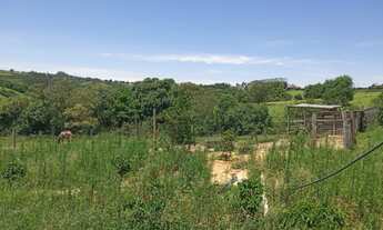 Imagem 6: Vendo sítio em ibaiti PR (alto alegre