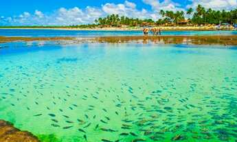 Imagem 7: Invista em Porto De Galinhas, flat com entrada de 30.000,00!