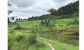 Imagem 2: Fazenda/Sítio/Chácara no Vale do Ribeira