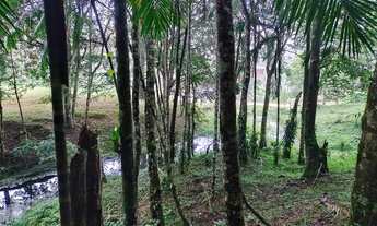 Imagem: Lindos 9 alqueires paulistas 577 mil reais