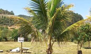 Imagem 4: Chácara em Marechal Floriano